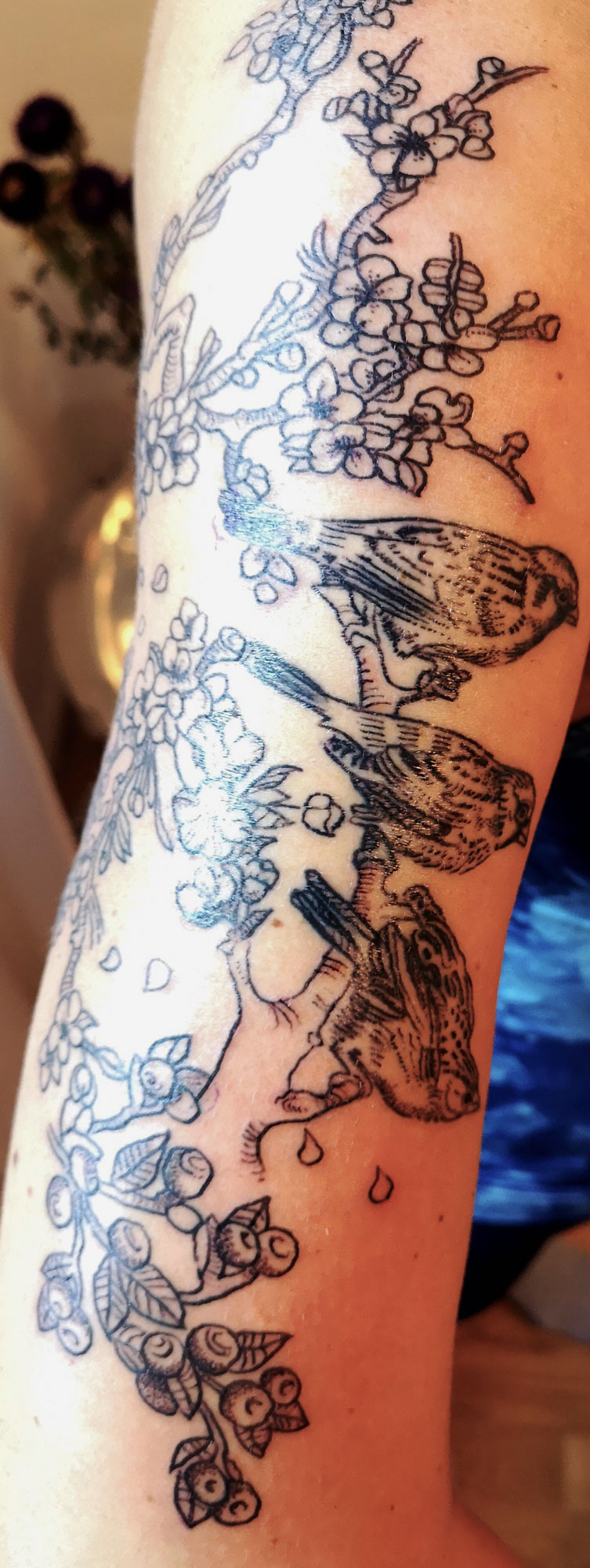 Tattoo Birds Elmar Karla