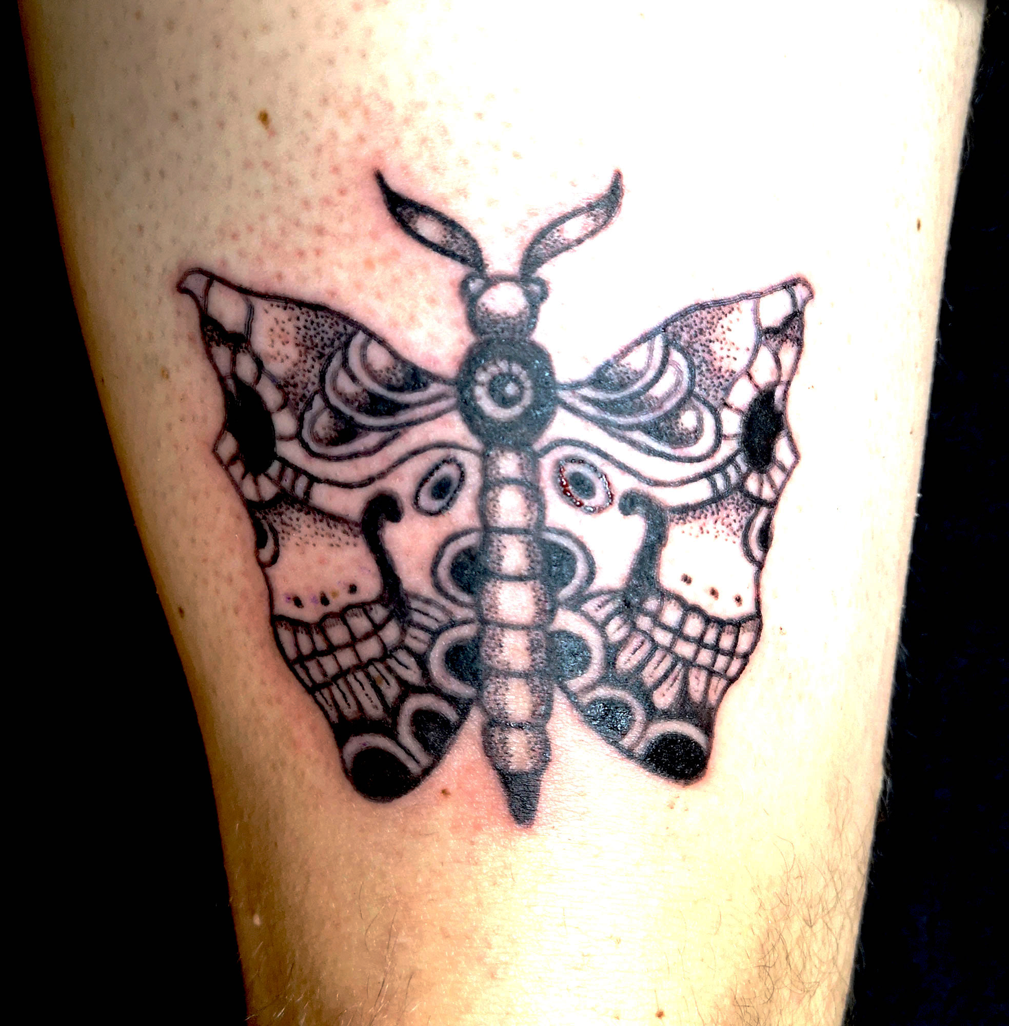 Tattoo Skull Butterfly Elmar Karla